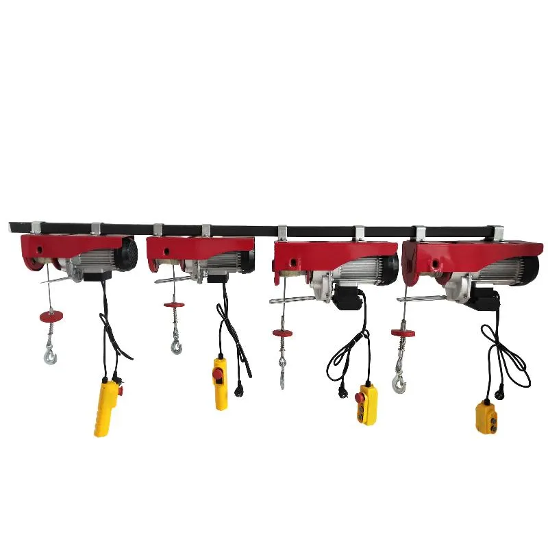 mini hoist crane 500kg