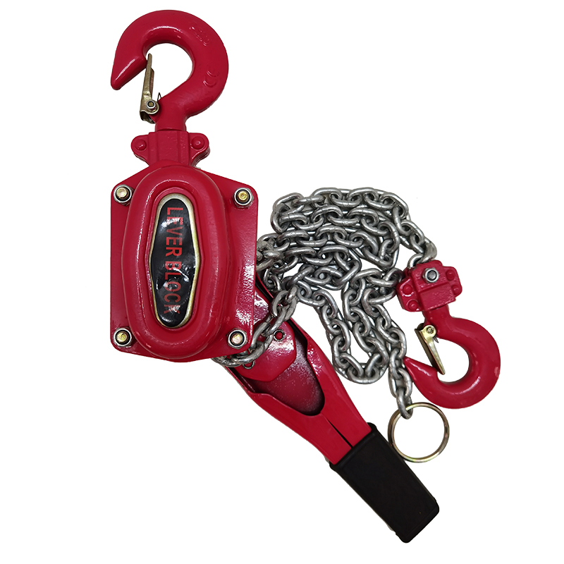 micro electric hoist