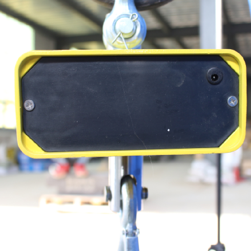 pa mini electric hoist