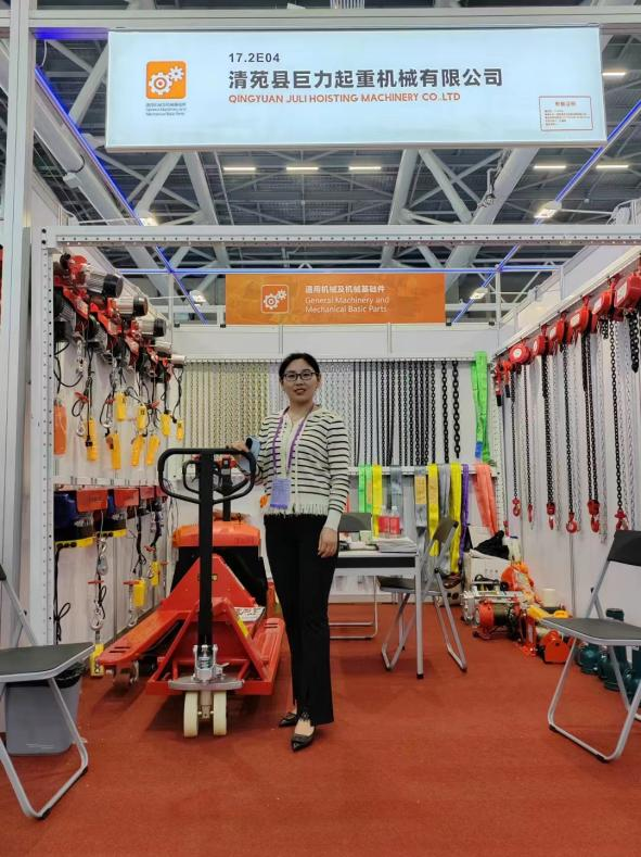 crane weighing scale price